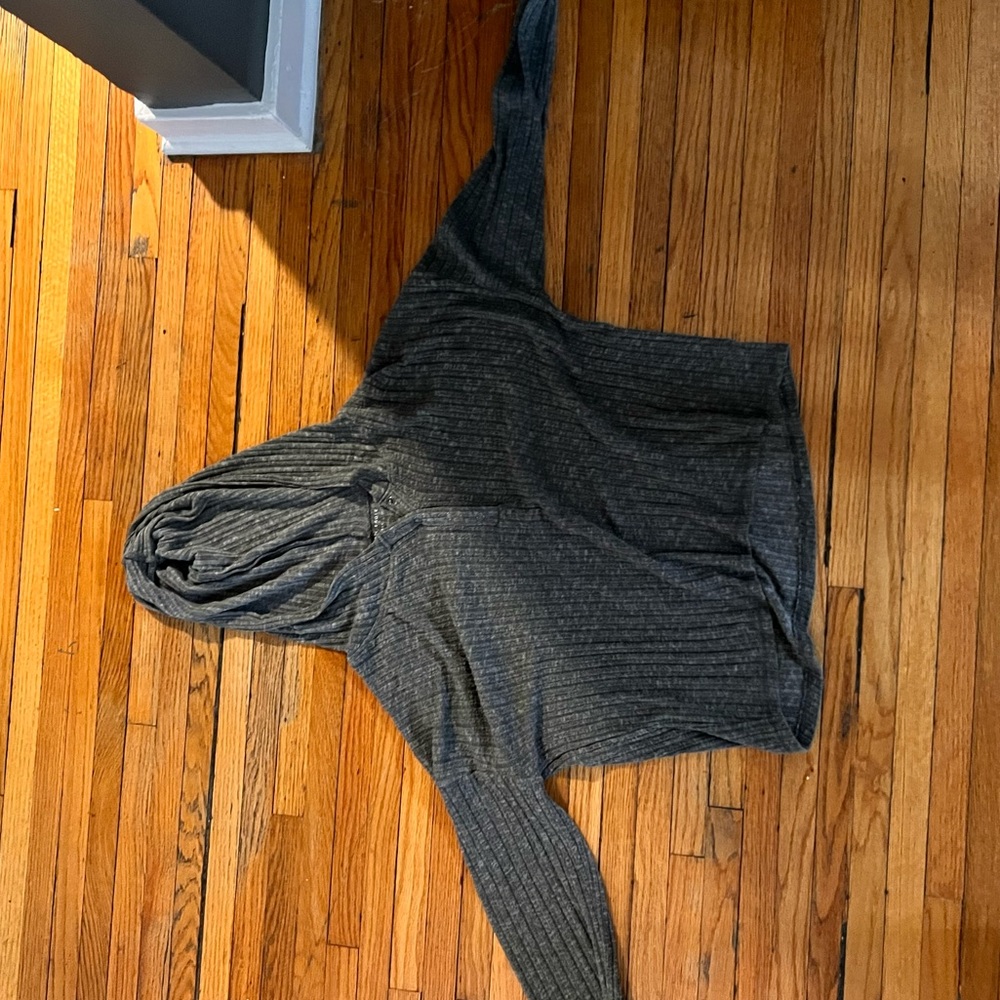 American Eagle Soft and Sexy Hooded Sweater